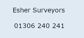 Esher Surveyors